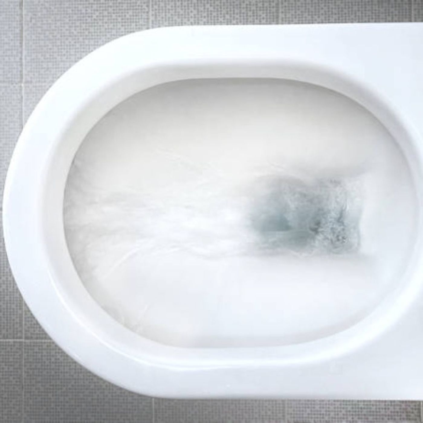 To Flush Or Not To Flush Seekr