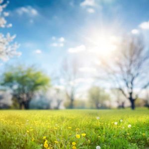 Welcome Back Spring!