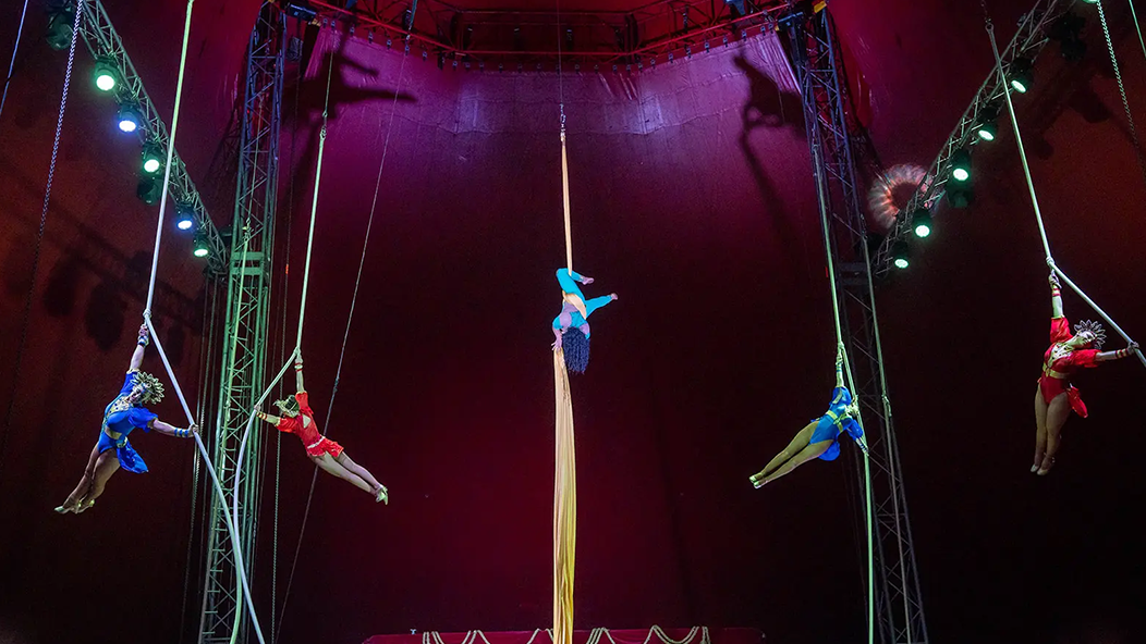 Win Tickets to the Royal Canadian Circus