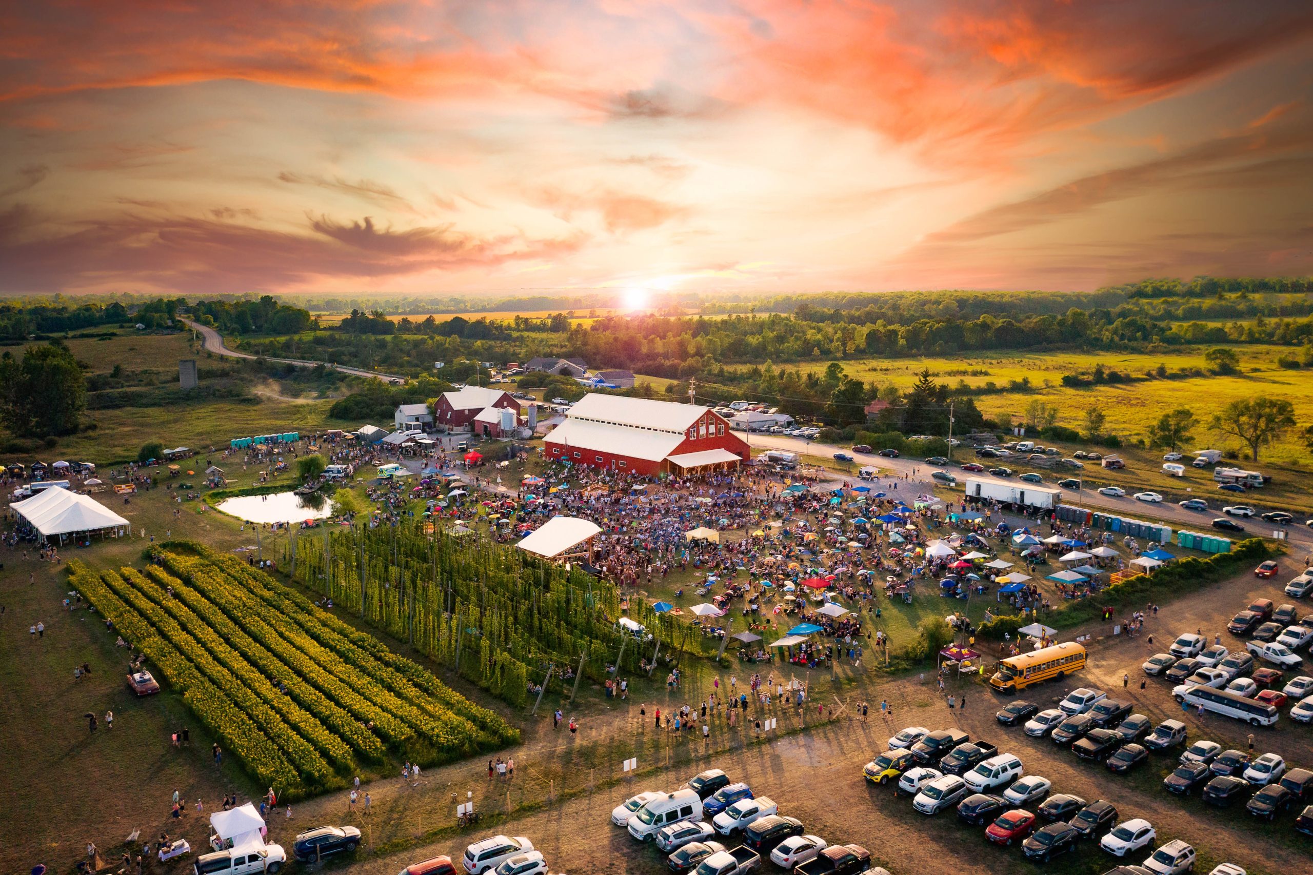 Back to the Farm is BACK!
