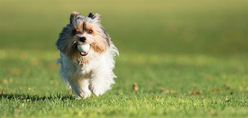 iStock-1569170512