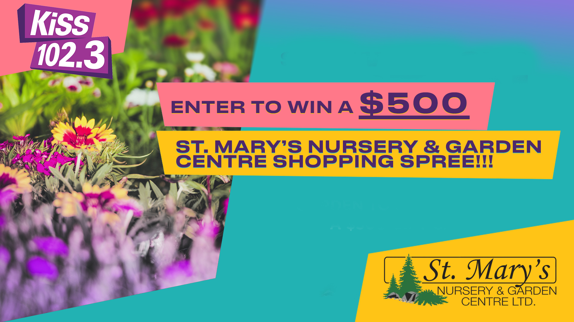 Win a $500 shopping spree!
