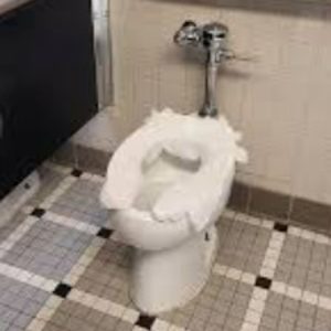 Auto Flush & TP Seats