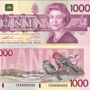 How Many $1,000 Bills Have You Seen?