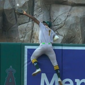 Canadian Denzel Clarke's Catch of the Year Candidate