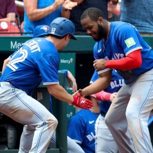 The Blue Jays Identity