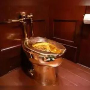 Fancy Toilets