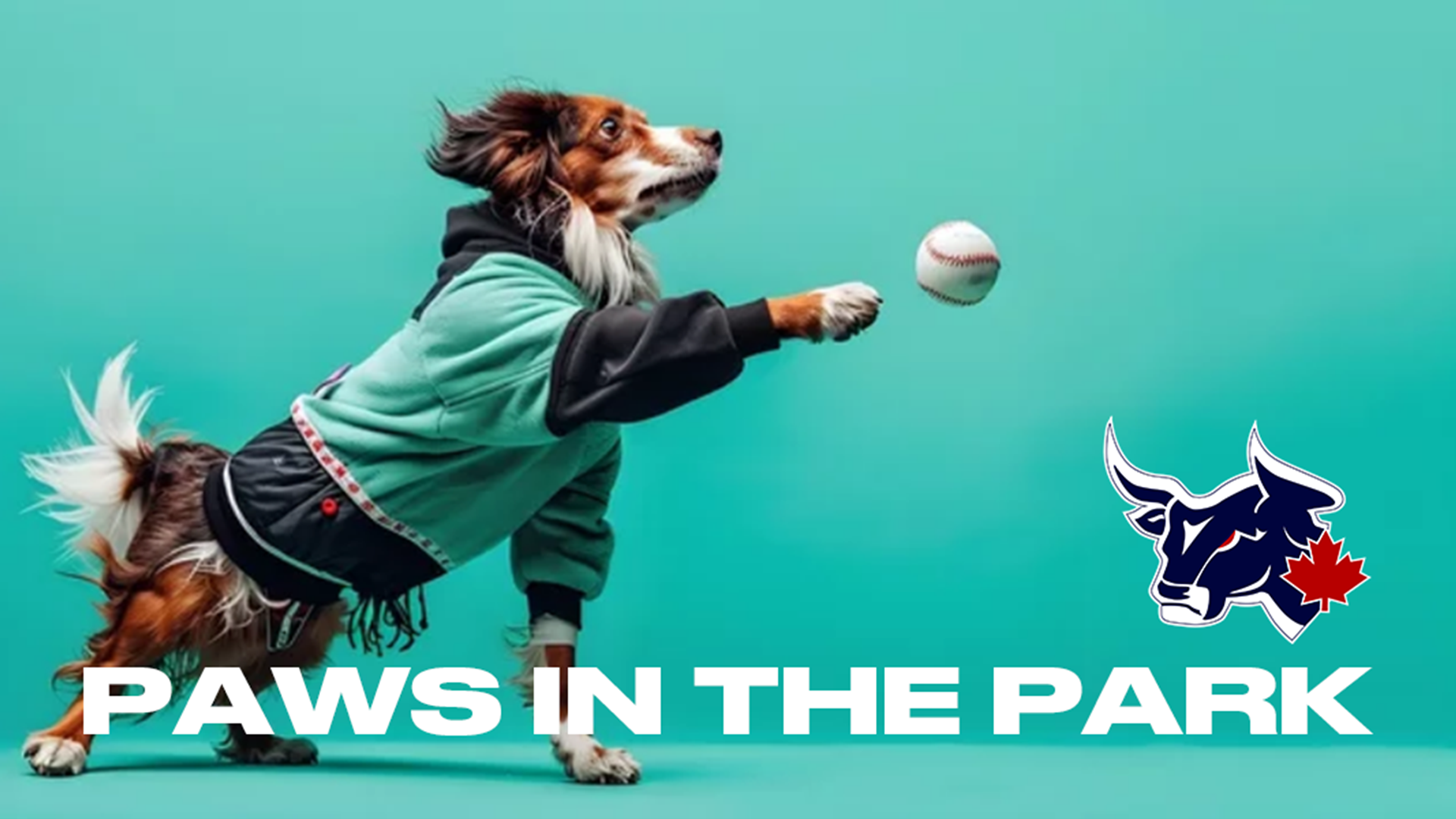 Win Tickets to the Lethbridge Bulls