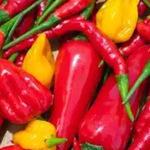 El Chapo HOT PEPPERS ?