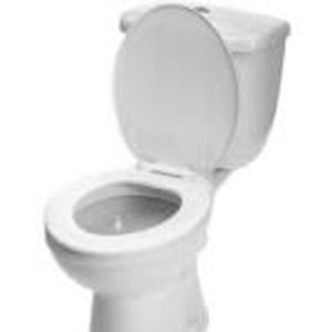 Toilet Talk