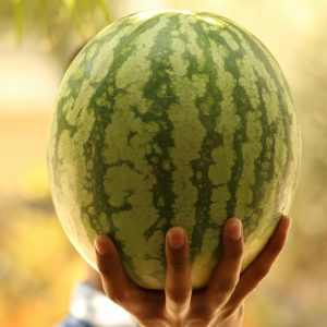 The one with a "watermelon on the roof of my car"