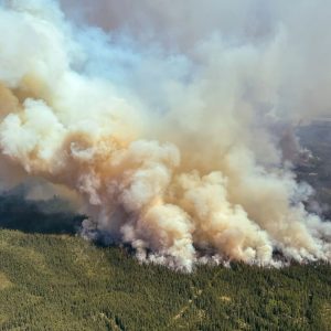 Canada is Ruining America's Summer