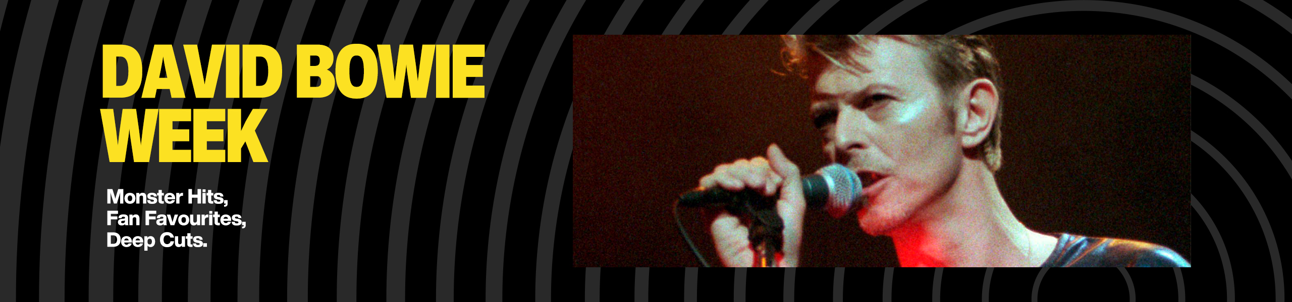 Bowie Hero