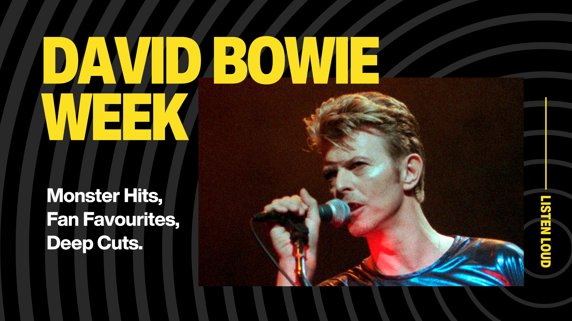 Bowie Web