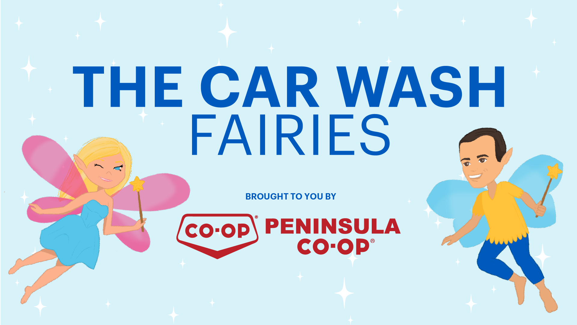 CAR WASH FAIRIES