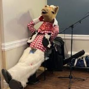 Harry The Horse Returns For Redemption