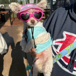 From Fetch to Fun: A Paw-some Paws in the Park Recap