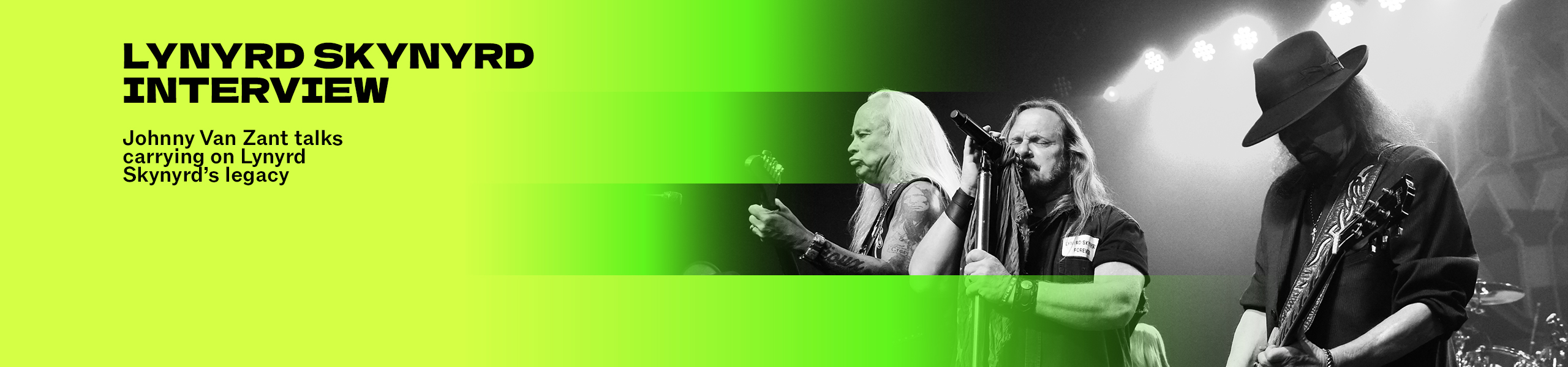 Skynyrd Hero