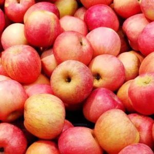 Gurdeep’s Fuji Apple Hustle