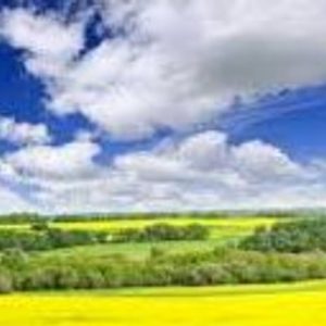 Moving to Saskatchewan