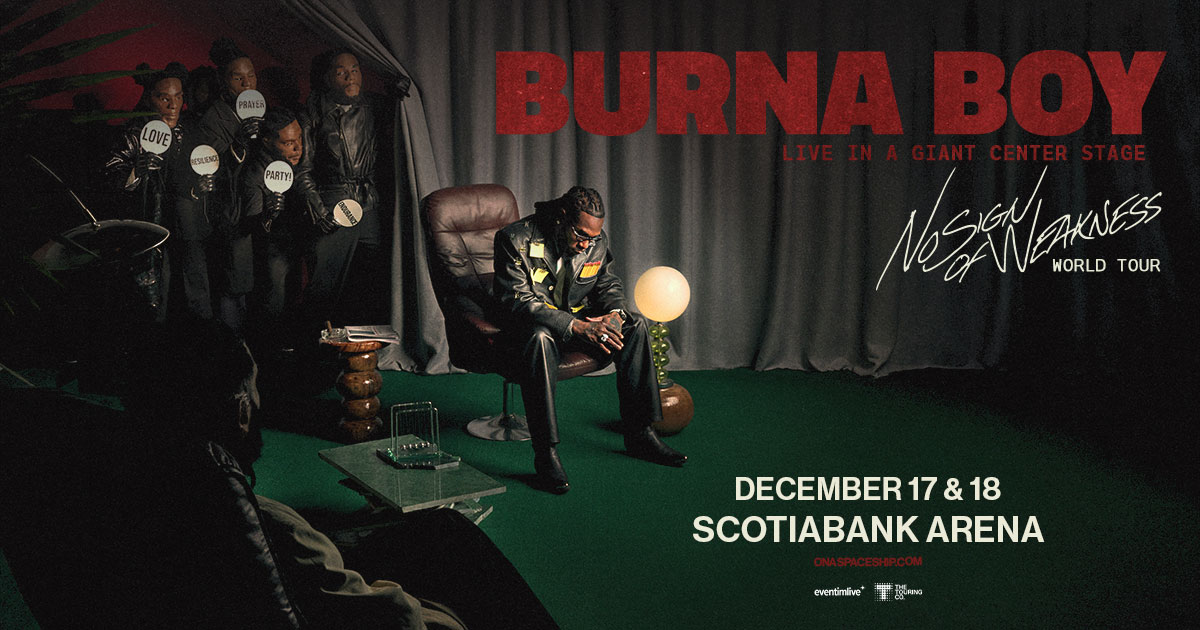 Seek Your Sounds & Win: Burna Boy