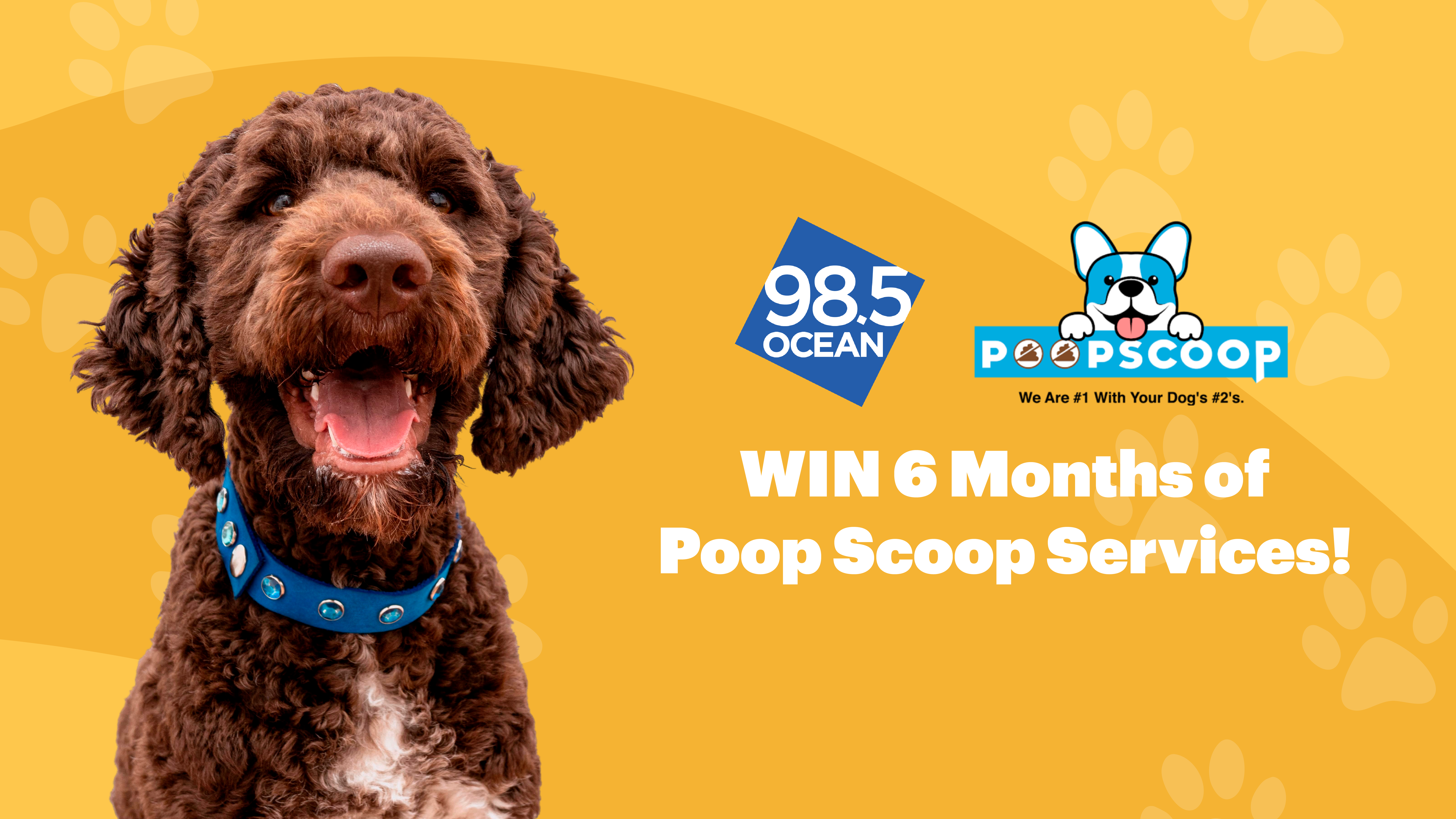 Win a Half Year of Services from Poop Scoop