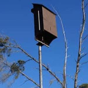 Bat House