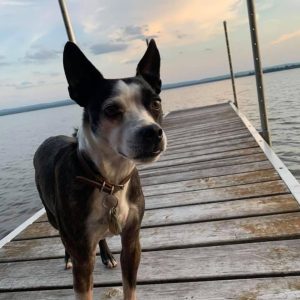 Sandra's Dog is a Jazz Aficionado