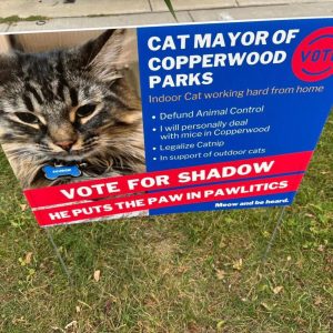 Election Season! Who Will Be the Pet Mayor of Lethbridge?