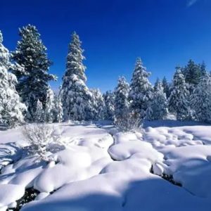 SNOW in the Toy Hall of Fame !??