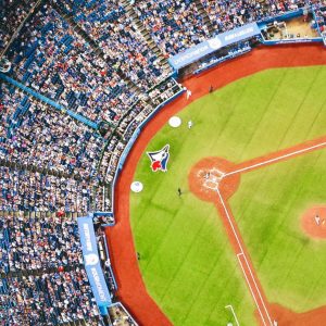 What a night...the Jays are going to the World Series!!!!