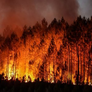 Wildfires Are Affecting Men