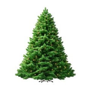 A Real Tree Creates Memories for The Whole Family