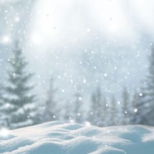 F**king In A Winter Wonderland