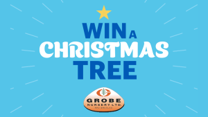 Win a Christmas Tree from Grobe's Christmas Tree Country!