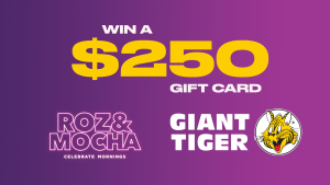 Enter to Win a $250 Gift Card to Giant Tiger