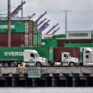 Professional Drivers