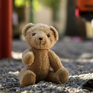 The Horny Teddy Bear