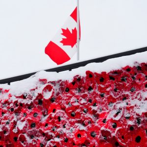 Remembrance Day: Moments of Reflection