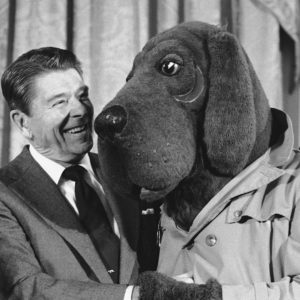 McGruff the Crime Dog's Album