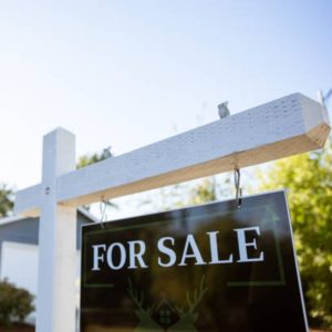 Sandra Get a Psychic Reading