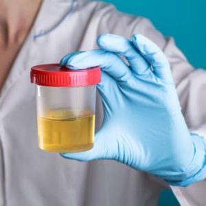 What is The Best Piss Jug??