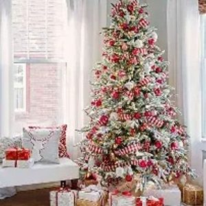 Xmas tree is up ???!!