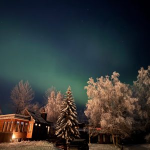 Maurie Talks to Alaskans About Being in the Dark For The Next Few Months