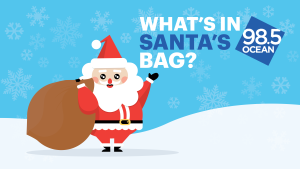 What's In Santa's Bag?!
