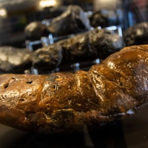 Pooping on Command is Impressive