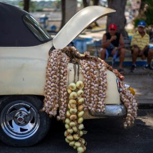 playlist-item-Garlic Makes You Smell Good