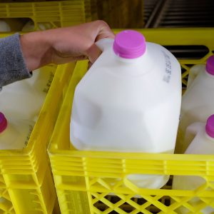 playlist-item-Is Milk Just For Kids?