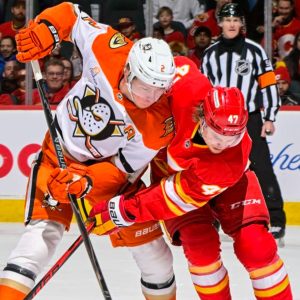 Should the Flames Follow the Same Path As the Ducks?