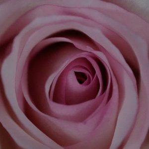 A Poem For All The Single Folks On Valentine's Day